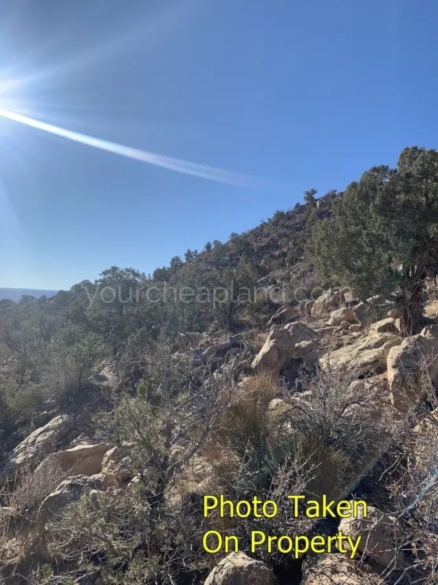 Decorative background for Duchesne County - Blacktail Mountain image 5