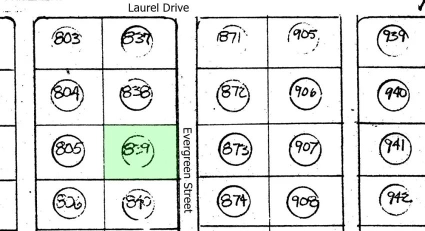 Decorative background for Cove Acres - Lot 839 image 7