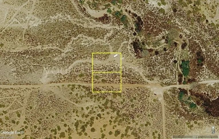 Decorative background for Cove Acres - Lots 625 & 626 image 5