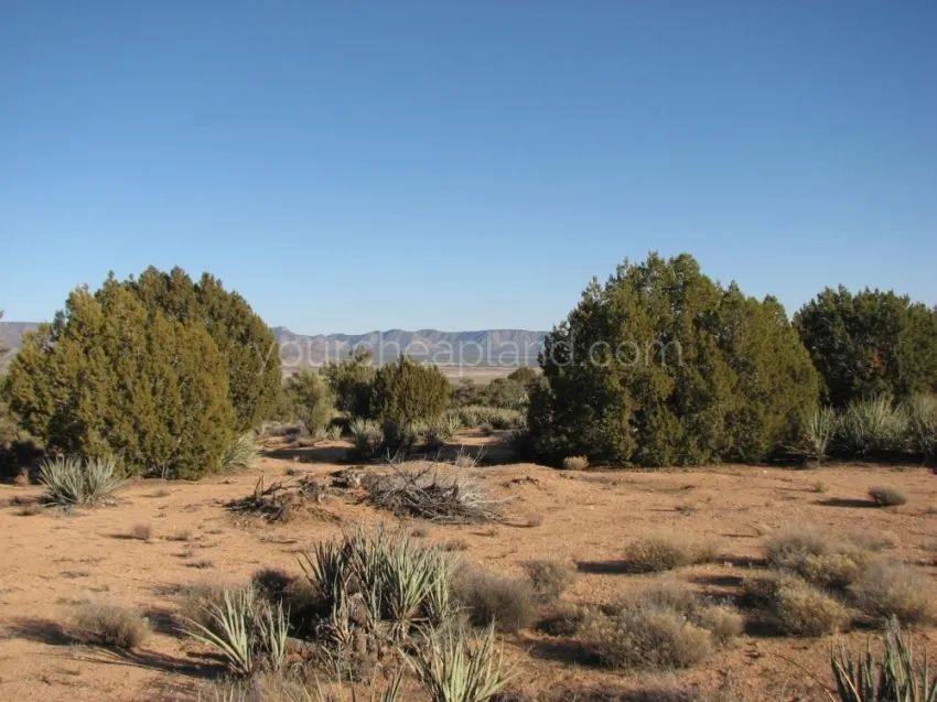 Mohave County - Spring Valley Ranches - Main image