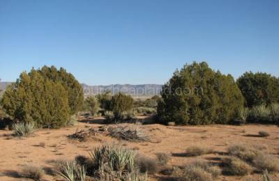 Mohave County - Spring Valley Ranches