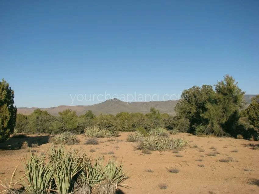 Mohave County - Spring Valley Ranches - Image 2