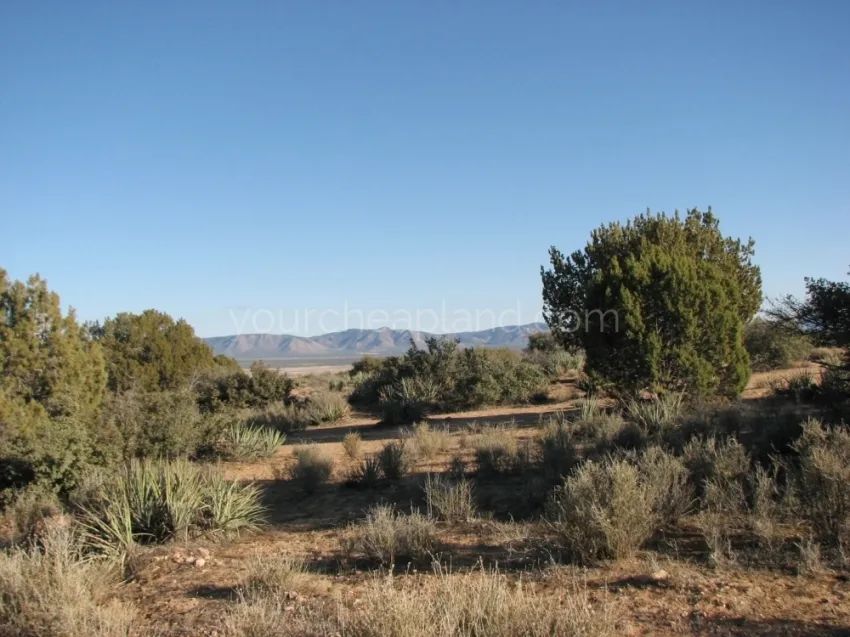 Mohave County - Spring Valley Ranches - Image 3