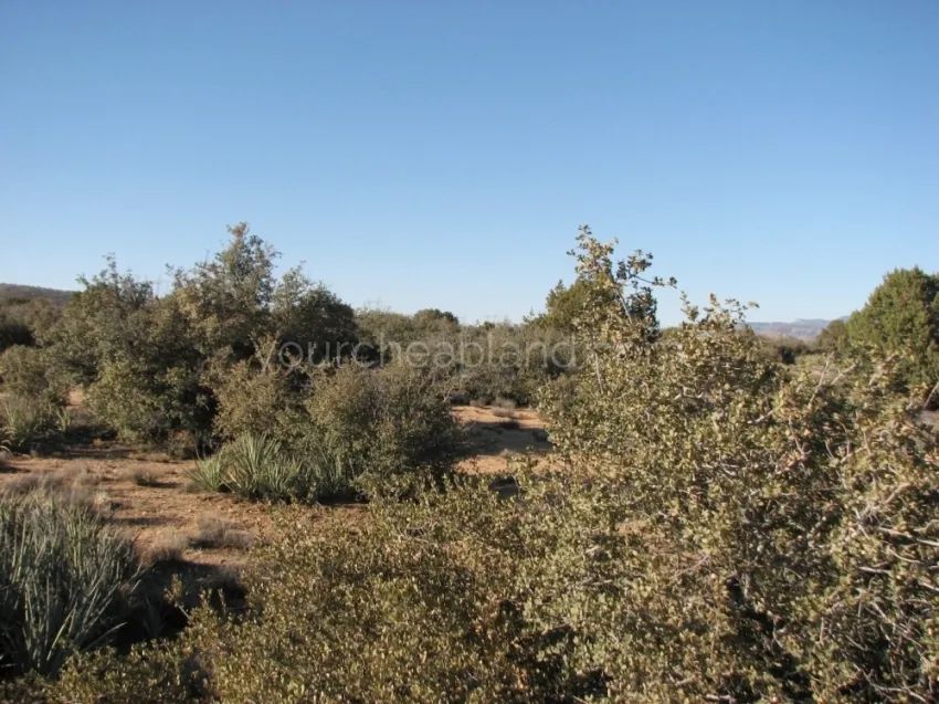 Mohave County - Spring Valley Ranches - Image 4