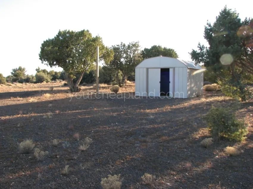 Decorative background for Mohave County - Spring Valley Ranches image 7