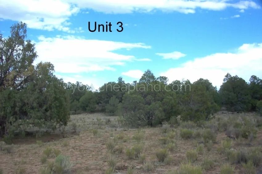 Tierra Verde Ranchettes - Unit 3, Lot 98