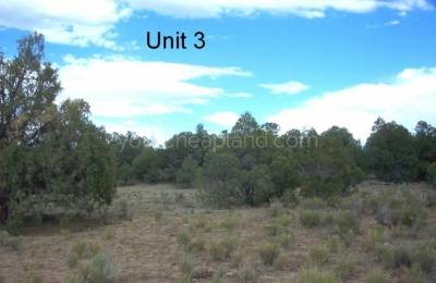 Tierra Verde Ranchettes - Unit 3, Lot 98