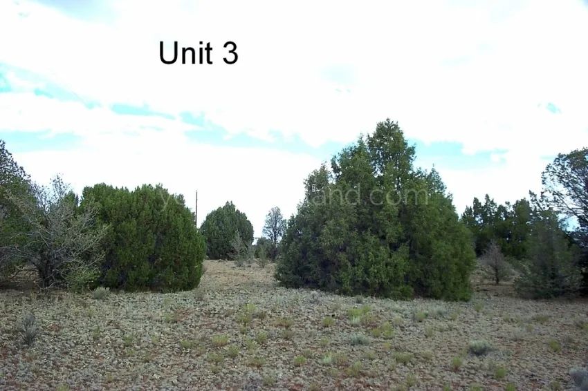 Tierra Verde Ranchettes - Unit 3, Lot 98 - Image 2