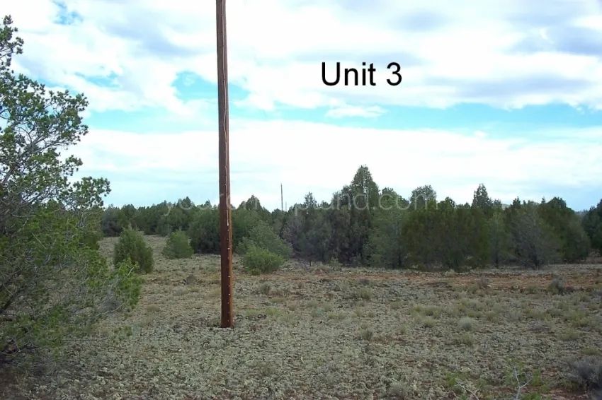 Tierra Verde Ranchettes - Unit 3, Lot 98 - Image 3