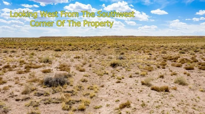 Sun Valley - Beautiful Property Near I-40 - Image 3