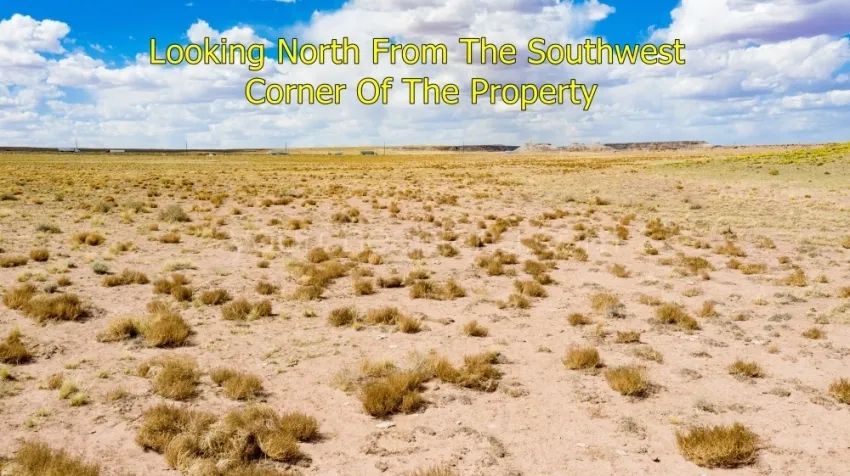 Decorative background for Sun Valley - Beautiful Property Near I-40 image 5