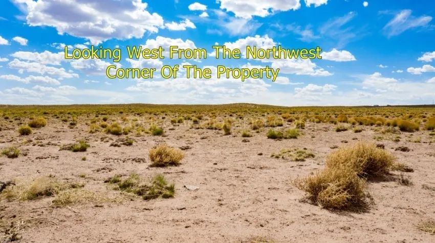 Decorative background for Sun Valley - Beautiful Property Near I-40 image 6