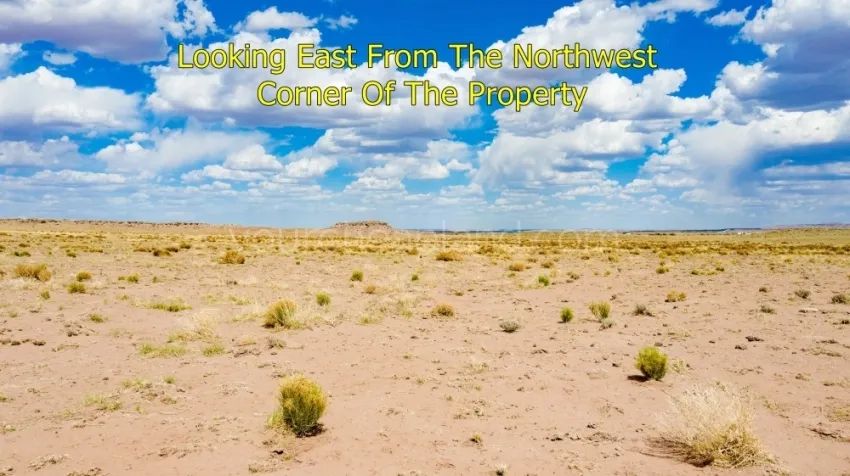 Decorative background for Sun Valley - Beautiful Property Near I-40 image 9