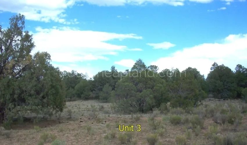 Tierra Verde Ranchettes - Unit 3 Lot 93 - Main image