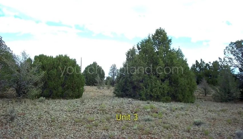 Tierra Verde Ranchettes - Unit 3 Lot 93 - Image 3