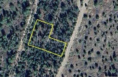Timberon - Unit 15, Block 165, Lots 45, 48 & 49