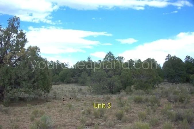 Tierra Verde Ranchettes - Unit 3, Lot 74