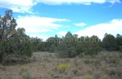 Tierra Verde Ranchettes - Unit 3, Lot 74