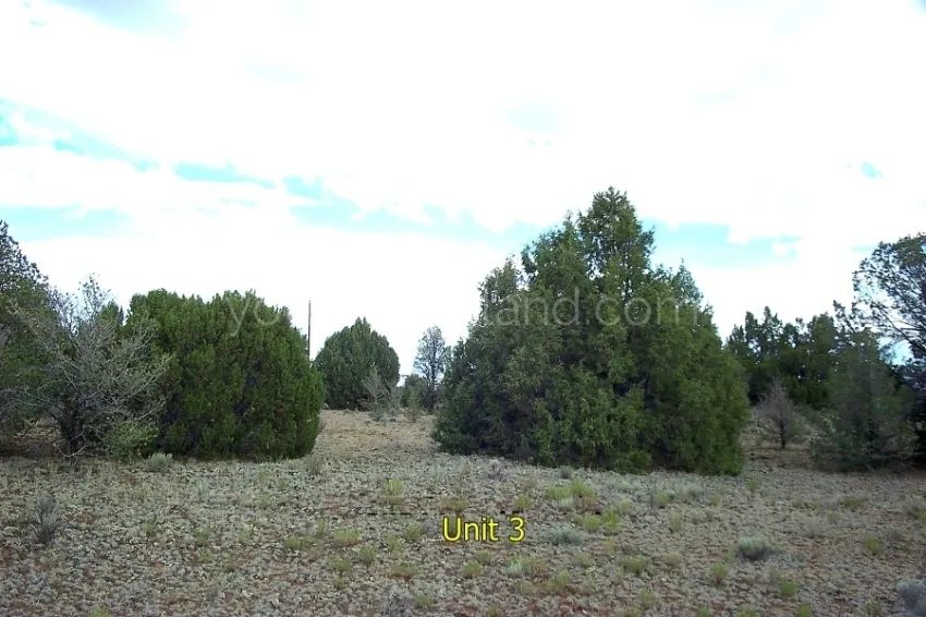 Tierra Verde Ranchettes - Unit 3, Lot 74 - Image 3