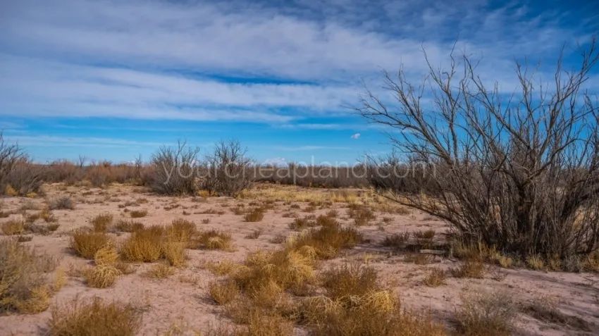 Sun Valley - Huge Recreational Property - Main image