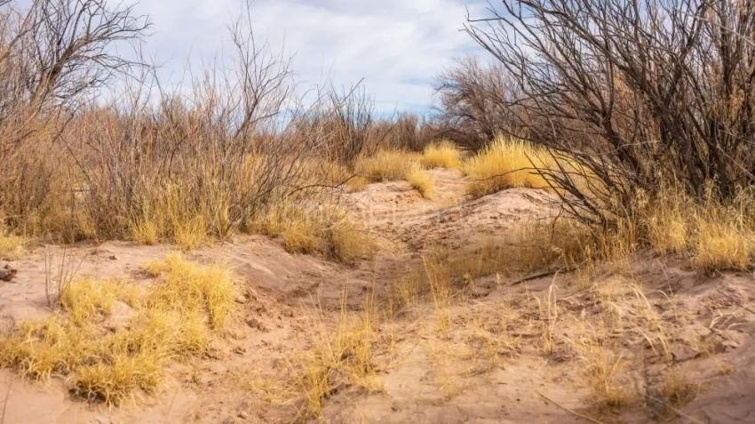 Sun Valley - Huge Recreational Property - Image 3