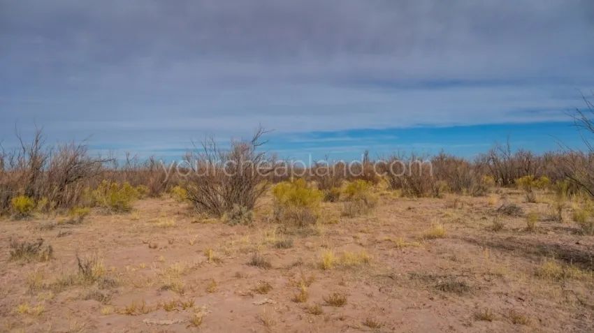 Sun Valley - Huge Recreational Property - Image 4