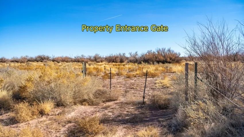 Decorative background for Sun Valley - Huge Recreational Property image 7