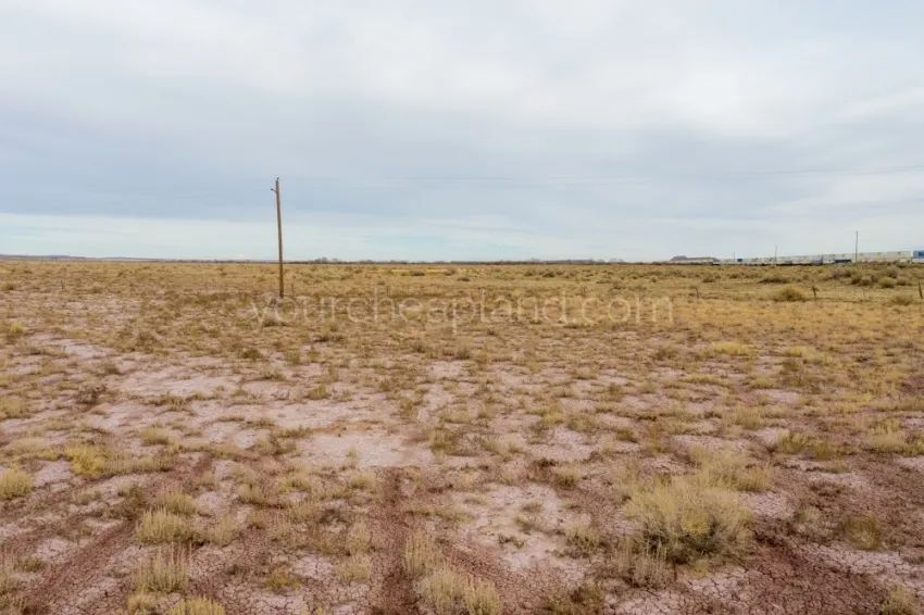 Decorative background for Sun Valley - Huge Recreational Property image 8