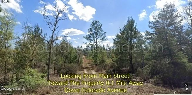 Florida Properties - Cooper Lake Manor
