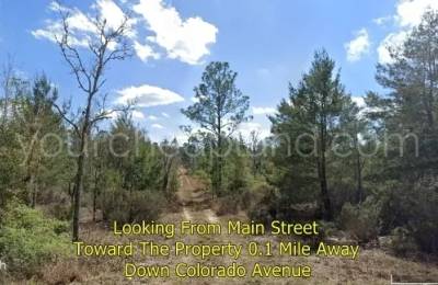 Florida Properties - Cooper Lake Manor