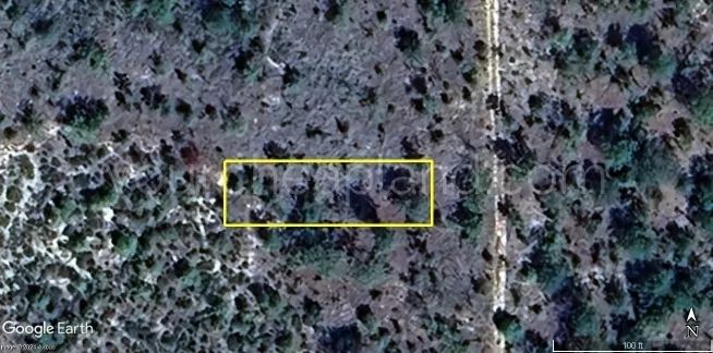 Florida Properties - Cooper Lake Manor - Image 4