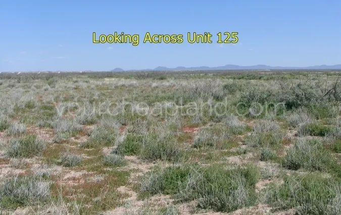 Deming Ranchettes - Unit 125 Block 5 Lots 6 & 7 - Main image