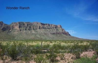 Wonder Ranch - Block 63 1/2, Section 24, South Half Of Tract 9