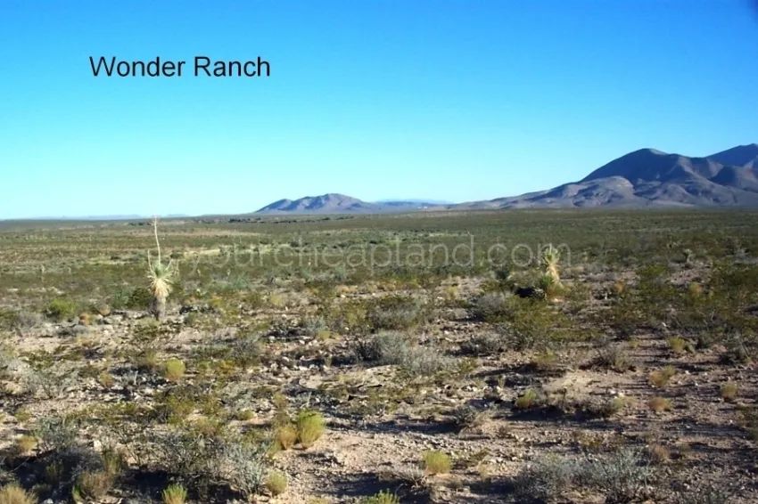 Wonder Ranch - Block 63 1/2, Section 24, South Half Of Tract 9 - Image 2
