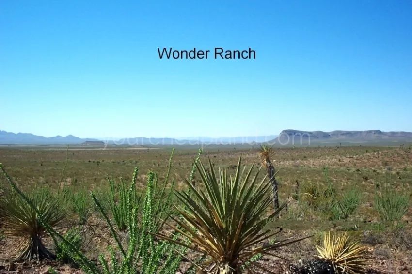 Decorative background for Wonder Ranch - Block 63 1/2, Section 24, South Half Of Tract 9 image 5