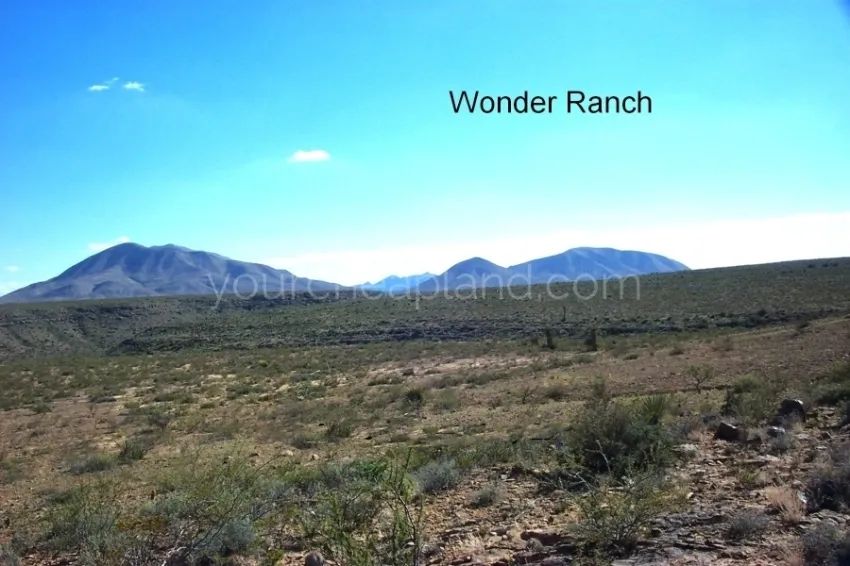 Decorative background for Wonder Ranch - Block 63 1/2, Section 24, South Half Of Tract 9 image 6