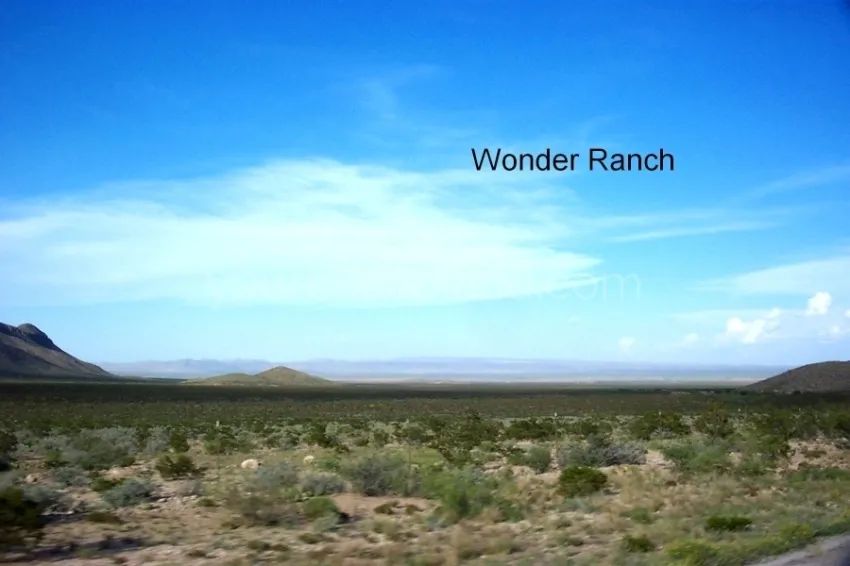 Decorative background for Wonder Ranch - Block 63 1/2, Section 24, South Half Of Tract 9 image 8
