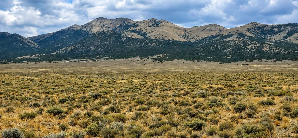 Beautiful, 2.06 Acre Property! - Main image