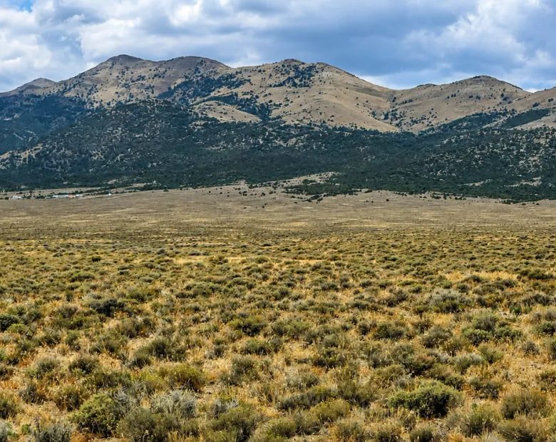 Beautiful, 2.06 Acre Property! in Elko County, NV