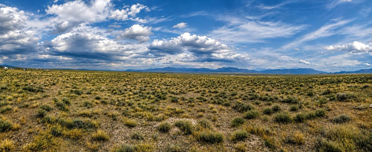 Beautiful, 2.06 Acre Property! - Image 3