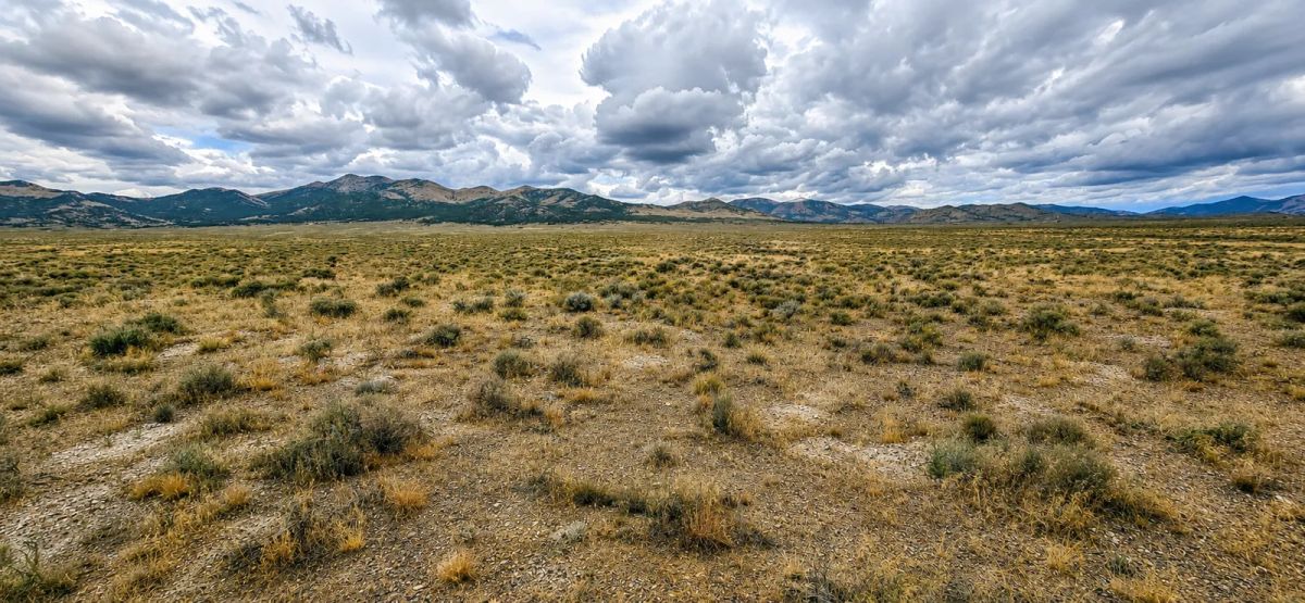 Beautiful, 2.06 Acre Property! - Image 4