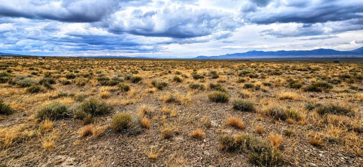 Decorative background for Beautiful, 2.06 Acre Property! image 5