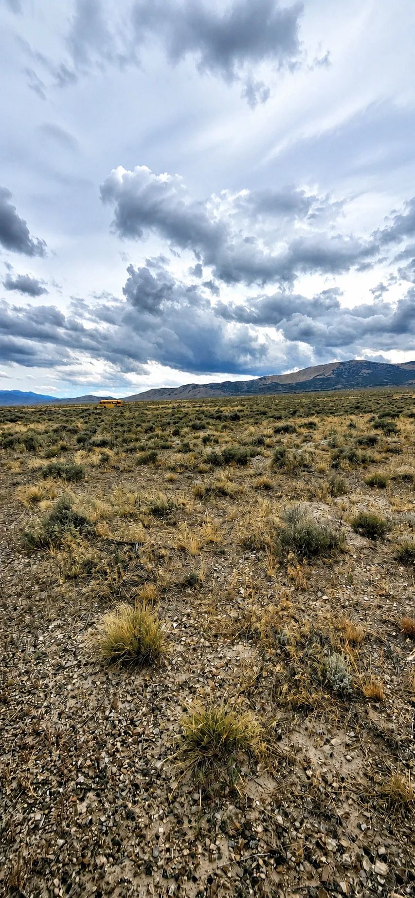 Decorative background for Beautiful, 2.06 Acre Property! image 7
