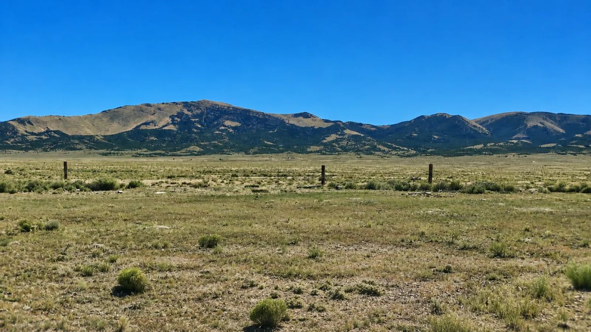 Perfect 2.06 Acre Escape! - Image 3