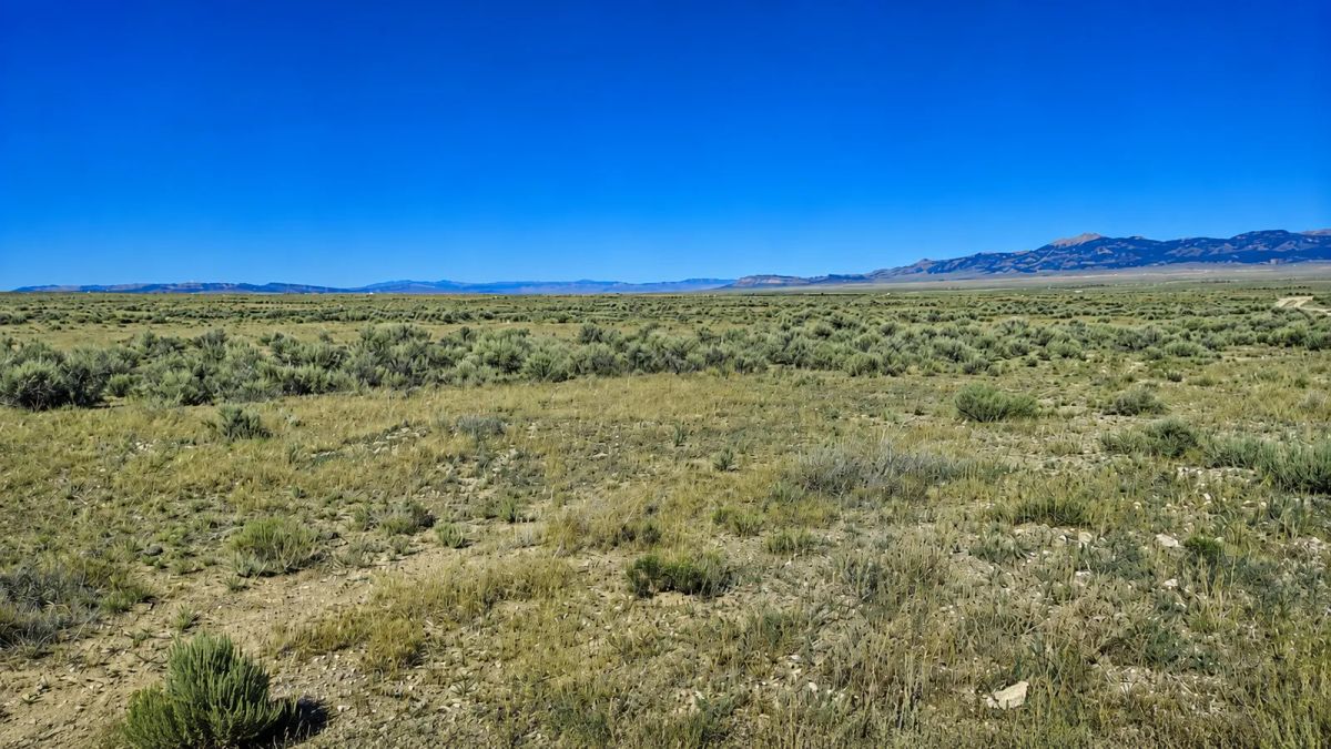 Decorative background for Perfect 2.06 Acre Escape! image 5