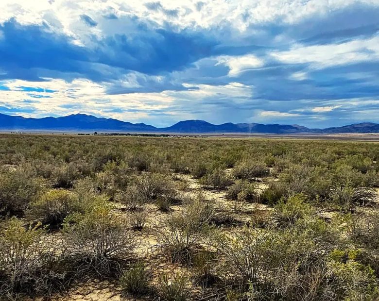 10 Acres of Room to Breathe Near Montello, Nevada in Elko County, NV
