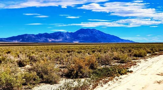 10 Acres of Room to Breathe Near Montello, Nevada in Elko County, NV