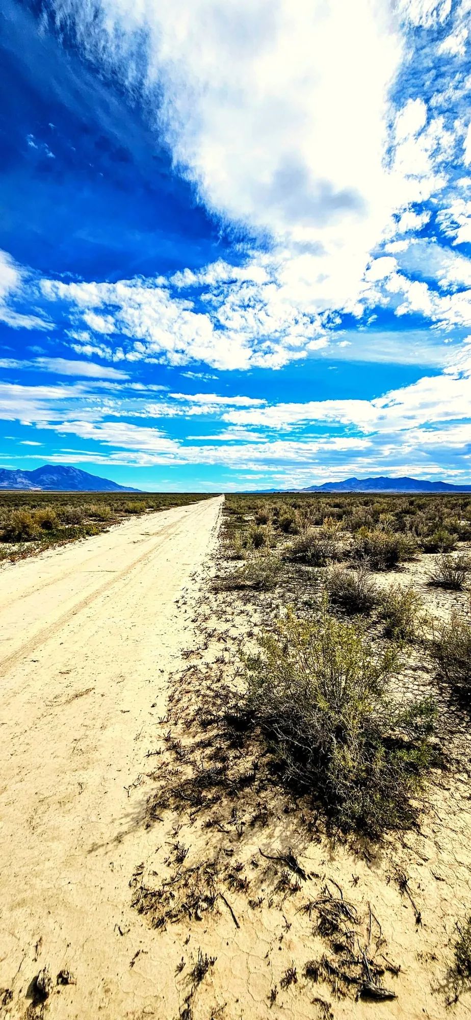 10 Acres of Room to Breathe Near Montello, Nevada in Elko County, NV