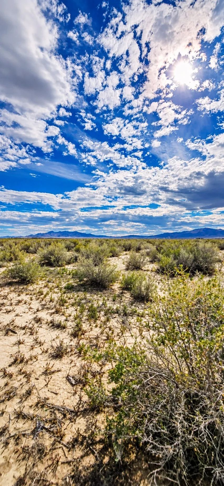 10 Acres of Room to Breathe Near Montello, Nevada in Elko County, NV
