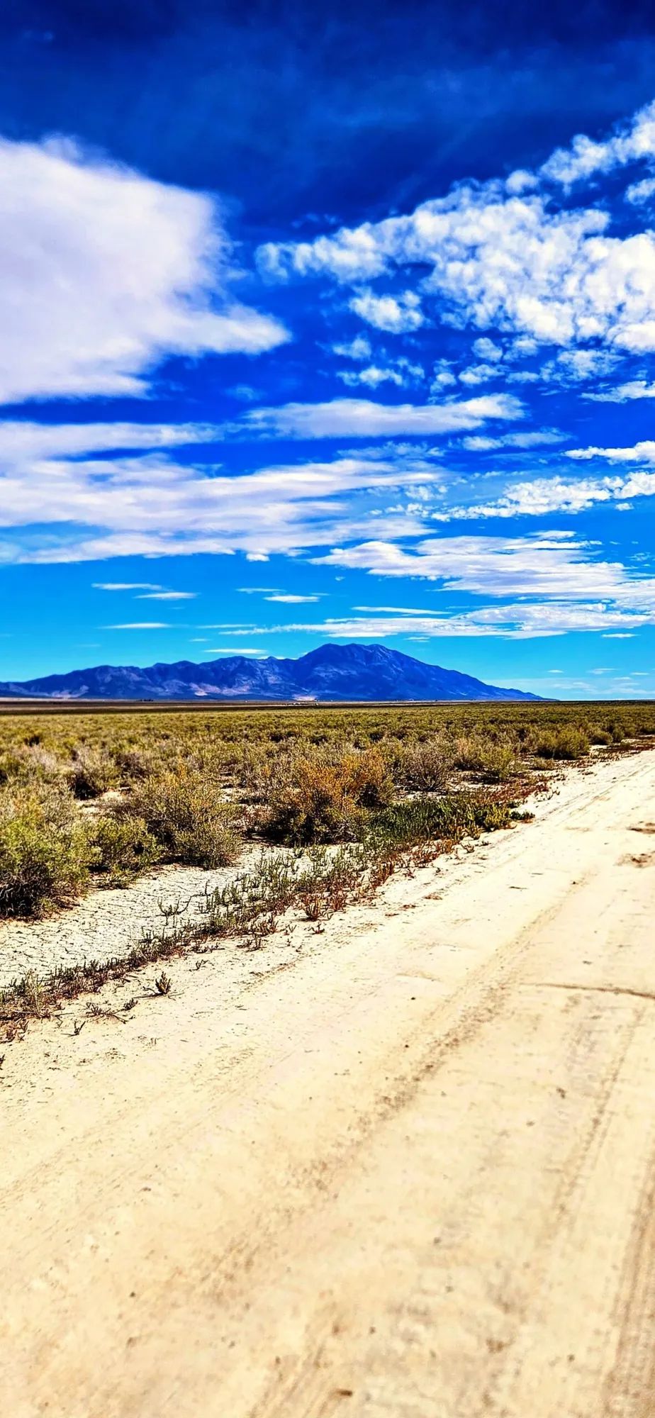 Decorative background for 10 Acres of Room to Breathe Near Montello, Nevada image 6